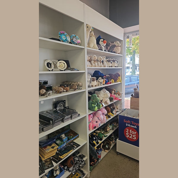 Shelves filled with various toys in a store setting