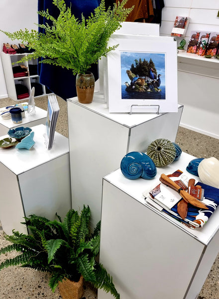 Display Cubes set of 4 - Medium