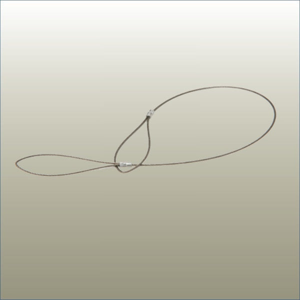 Wire for Security Clip