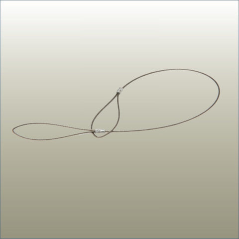 Wire for Security Clip