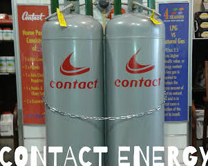 Plankwall Light custom free standing display panels in retail displaying LPG bottles